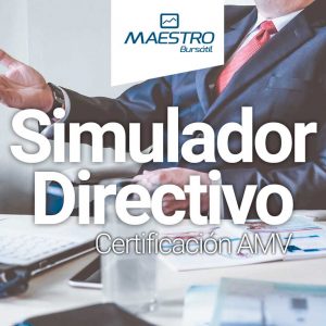 Simulador Directivo