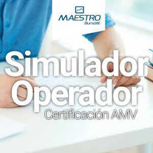 Simulador Operador