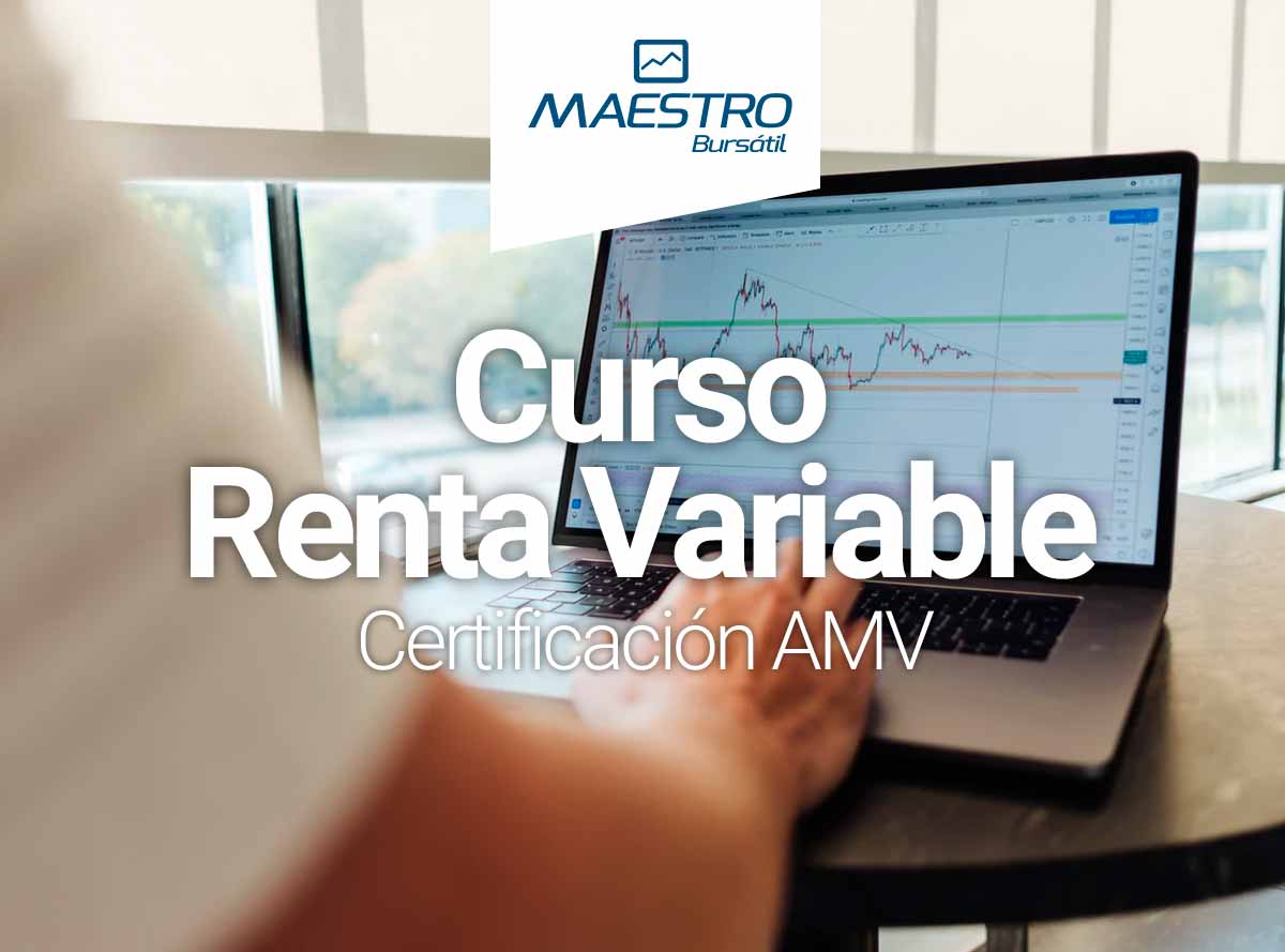 Curso Renta Variable